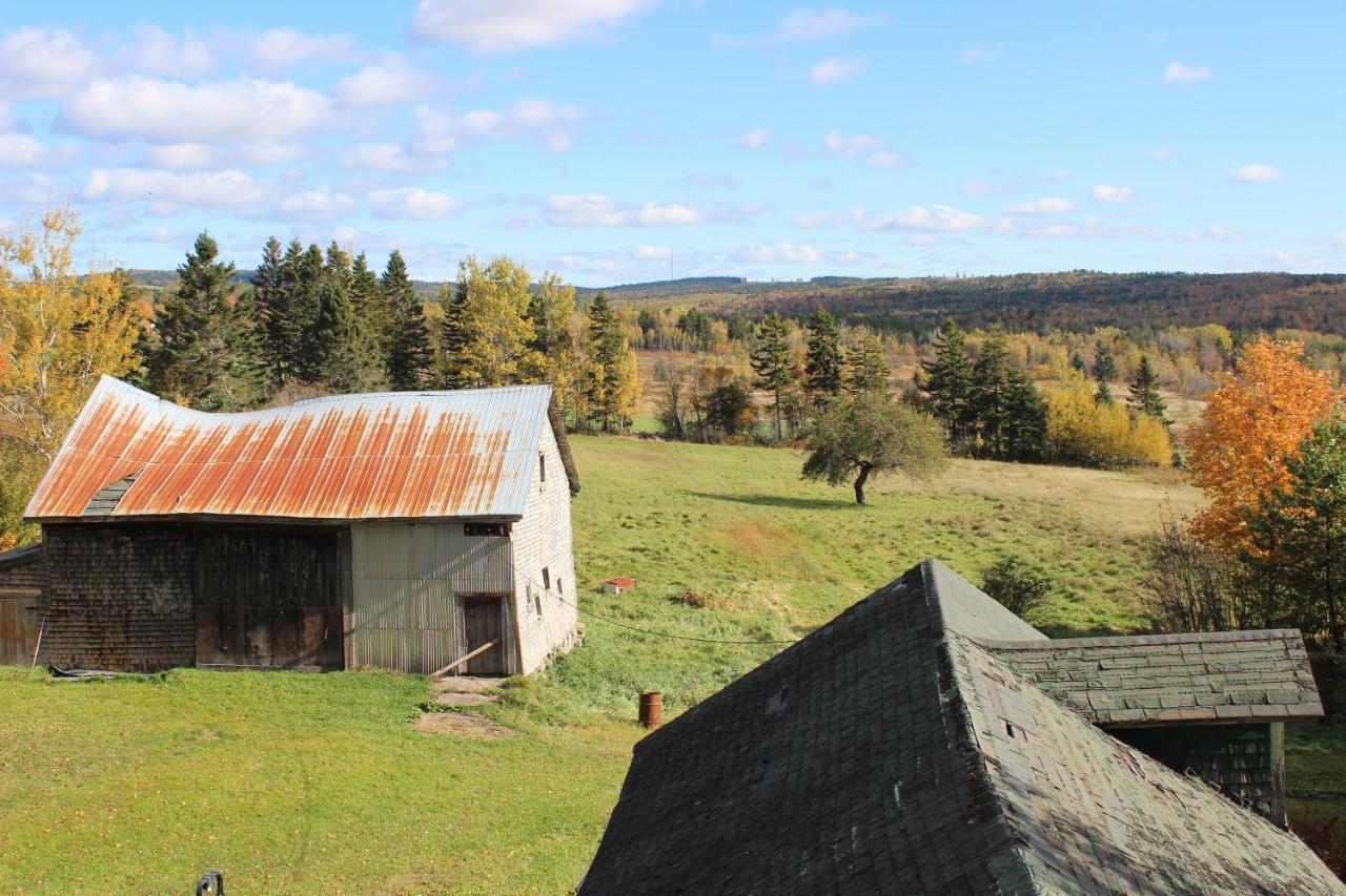 Maplehurst Manor Bed And Breakfast Dorchester Εξωτερικό φωτογραφία